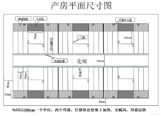 200头能繁母猪养猪场的总体设计规划方案