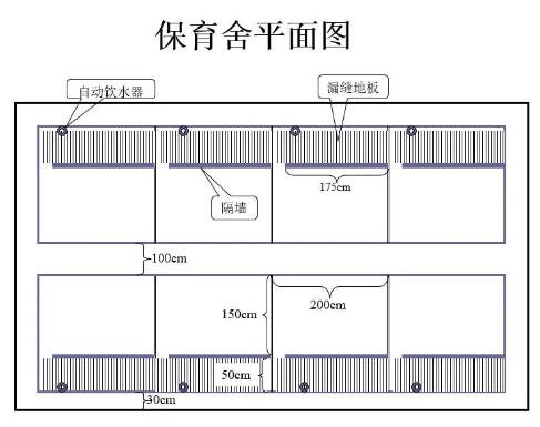 200头母猪猪场设计图图片